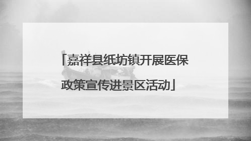 嘉祥县纸坊镇开展医保政策宣传进景区活动